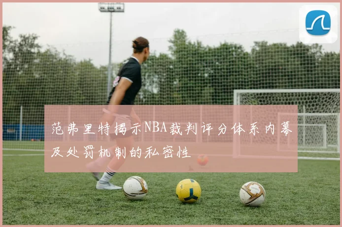 范弗里特揭示NBA裁判评分体系内幕及处罚机制的私密性