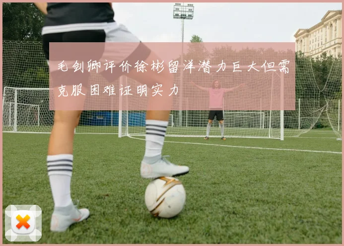毛剑卿评价徐彬留洋潜力巨大但需克服困难证明实力