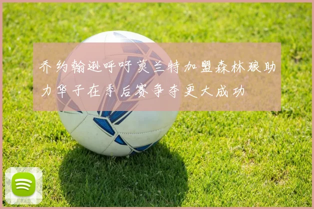 乔约翰逊呼吁莫兰特加盟森林狼助力华子在季后赛争夺更大成功