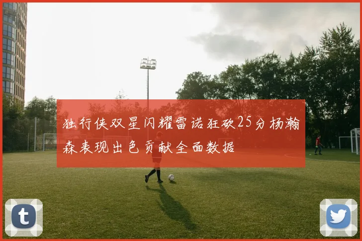 独行侠双星闪耀雷诺狂砍25分杨瀚森表现出色贡献全面数据