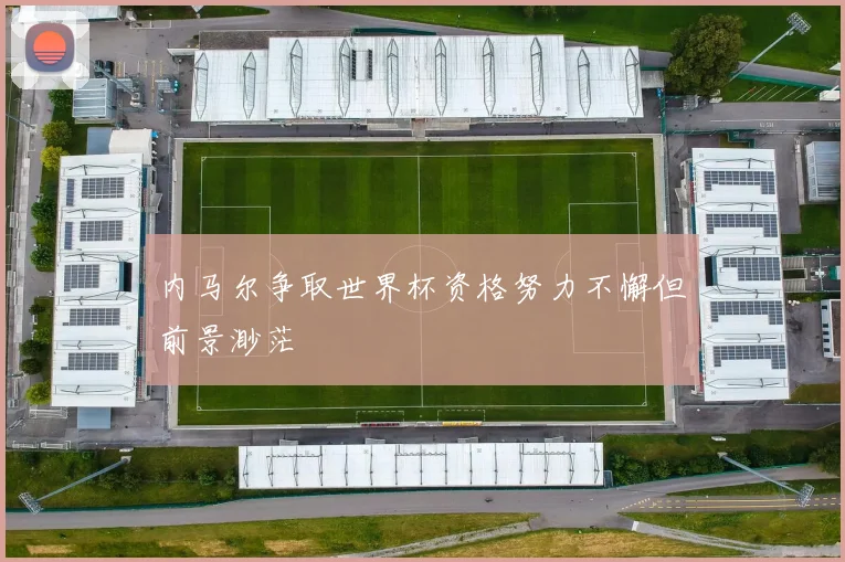 内马尔争取世界杯资格努力不懈但前景渺茫